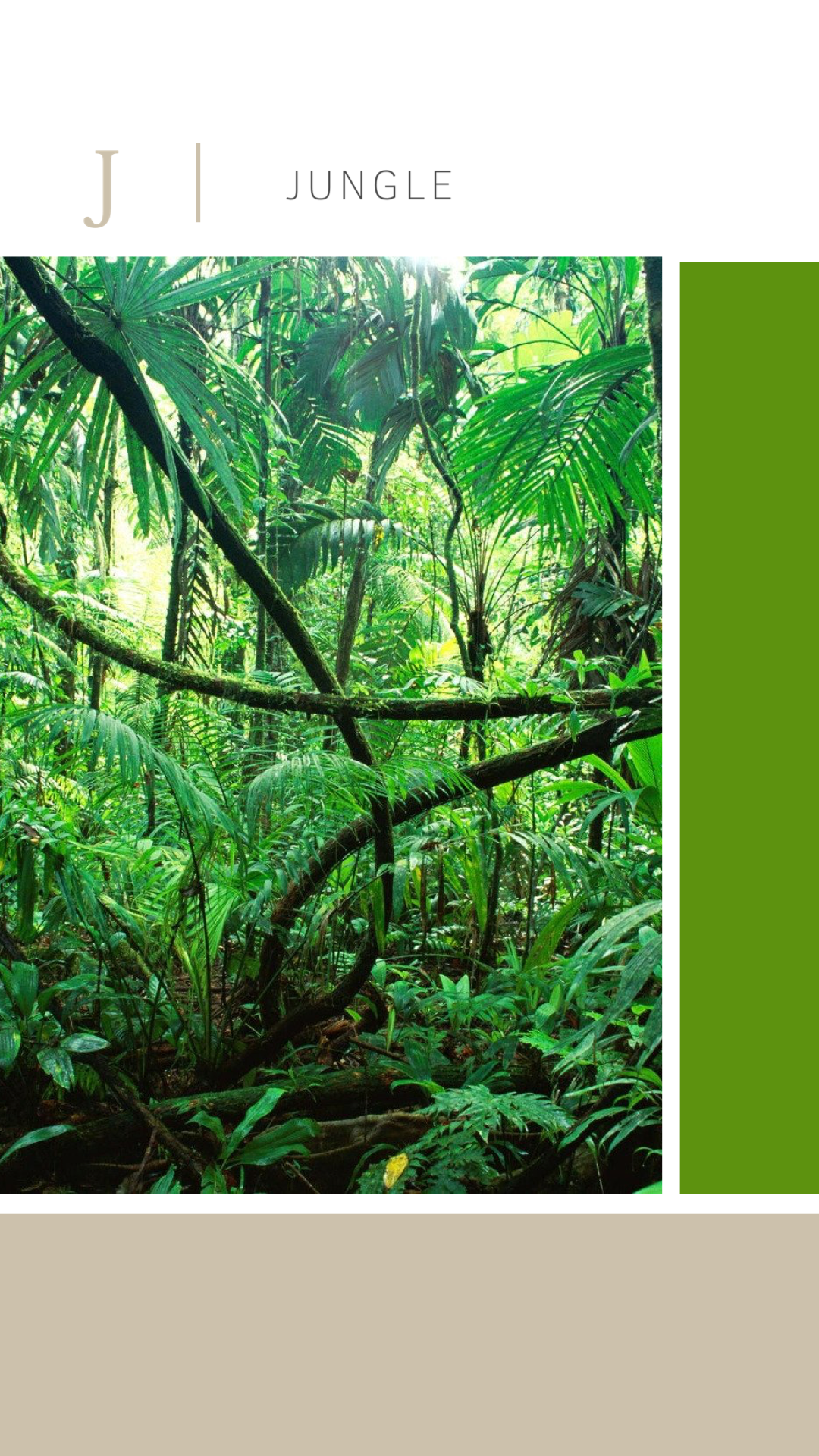 Jungle