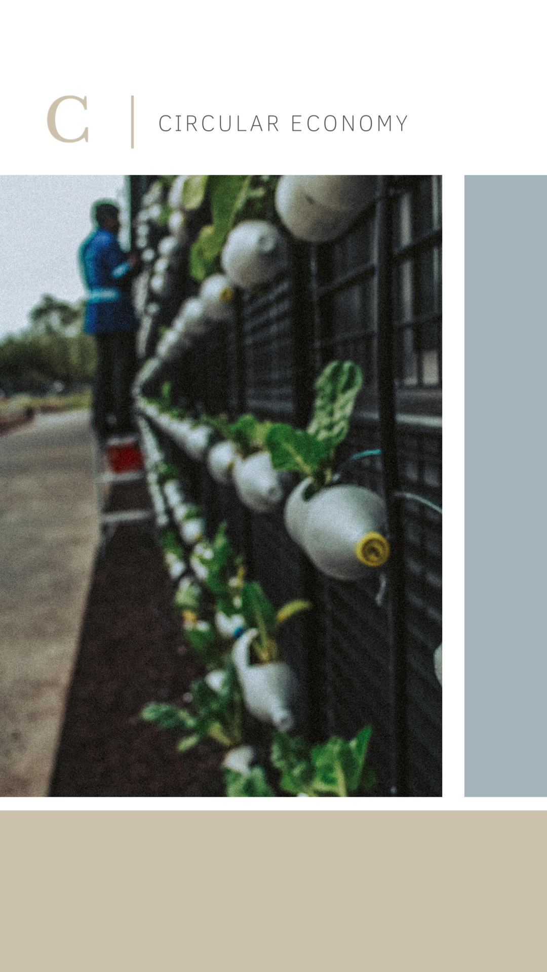 Circular economy