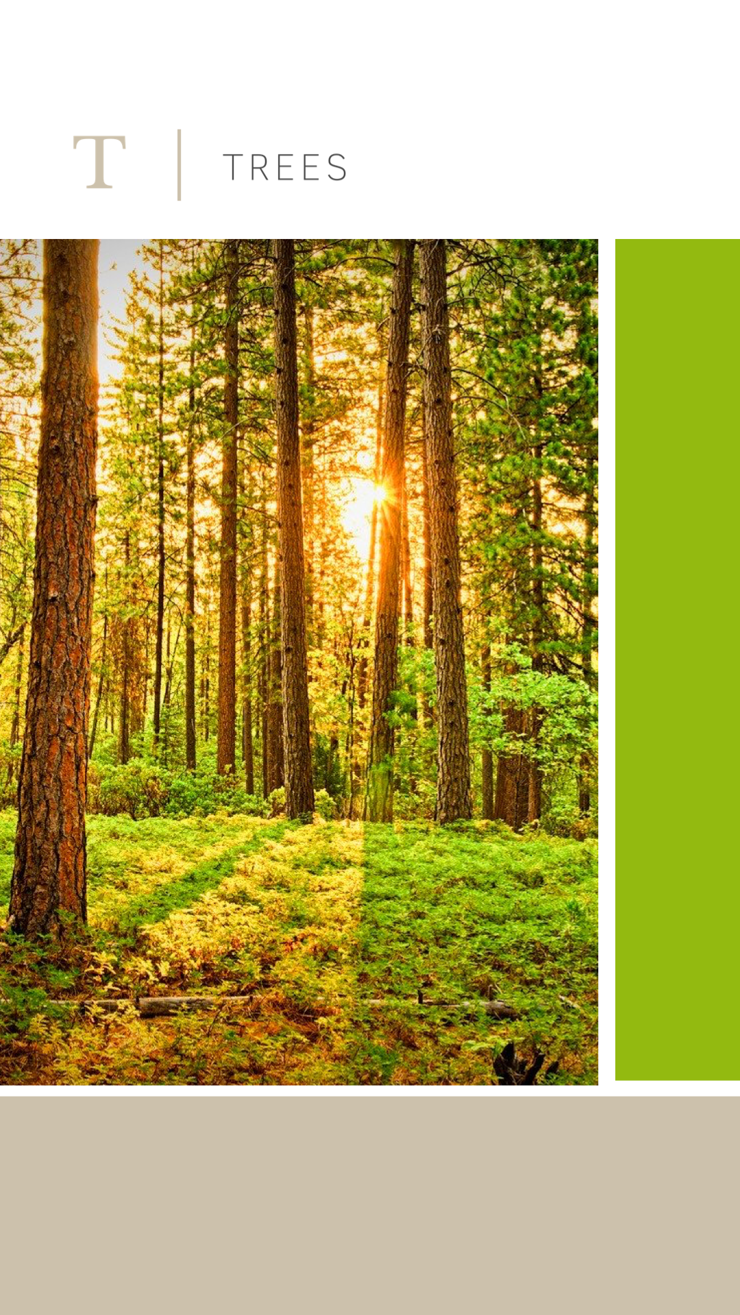 Trees benefits