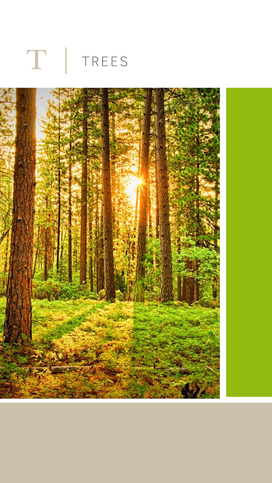 Trees benefits